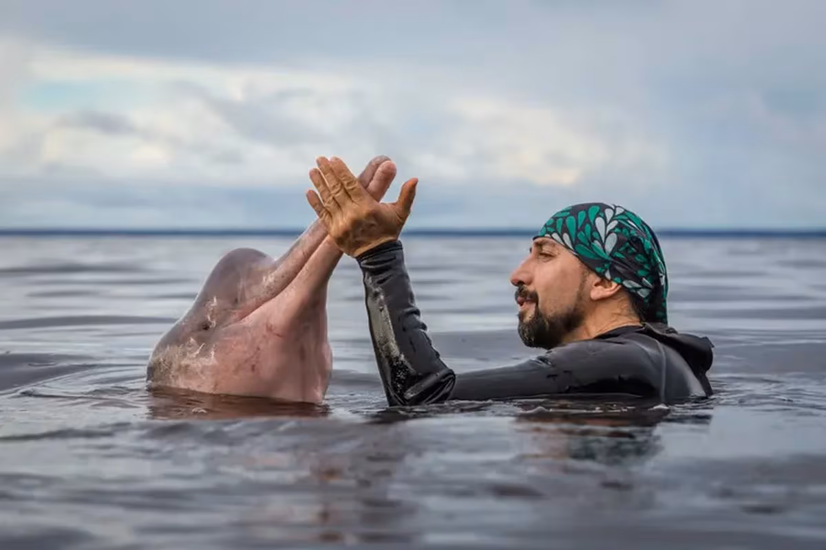 Explorador del Año de Rolex National Geographic